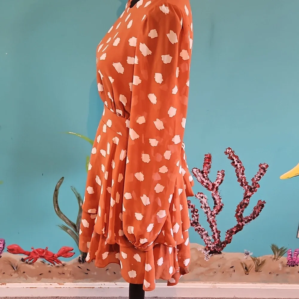 Forever 21 Long Sleeve Dress - Picture 3 of 7